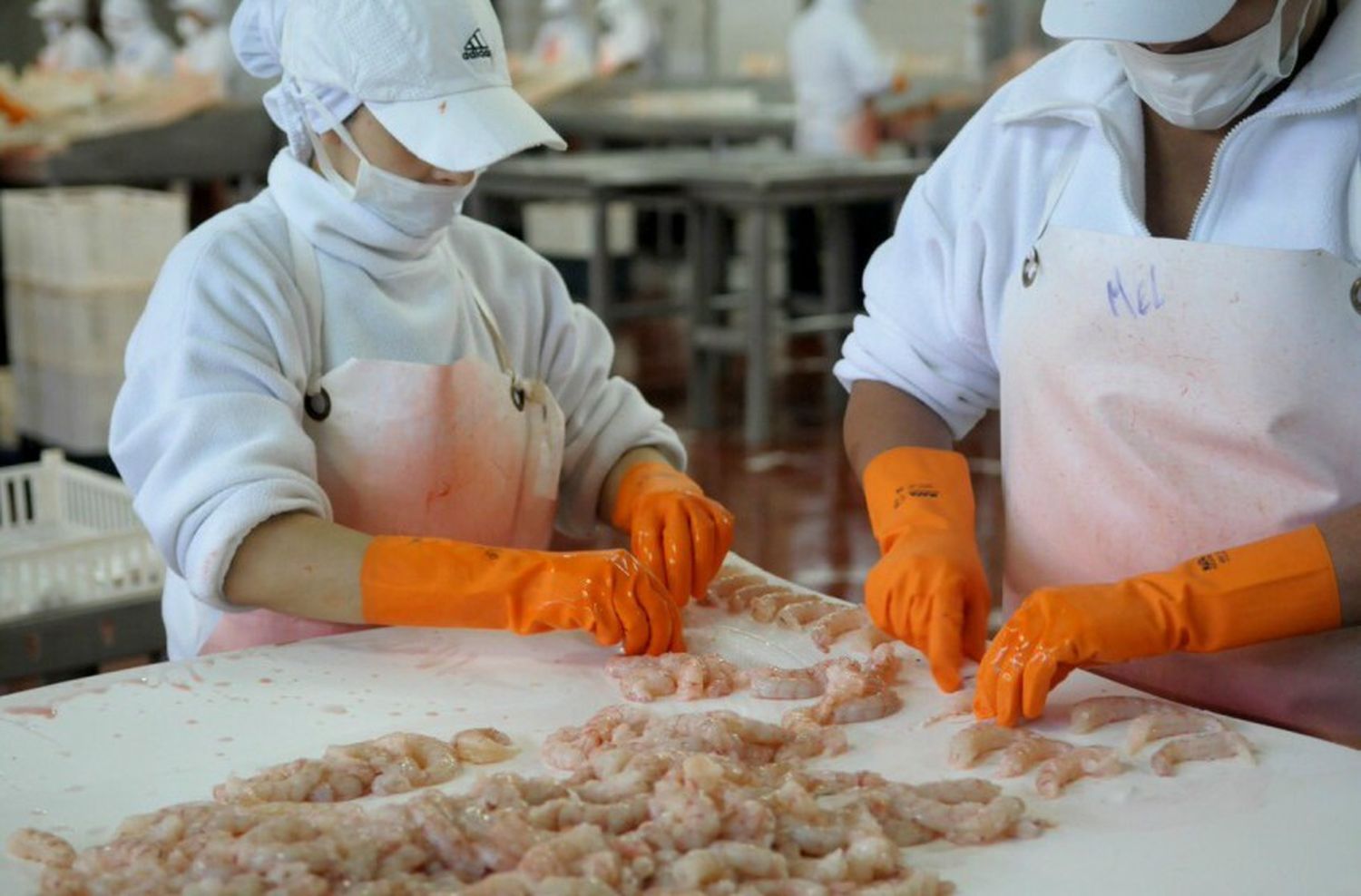 La pesca atravesada por la ola del coronavirus