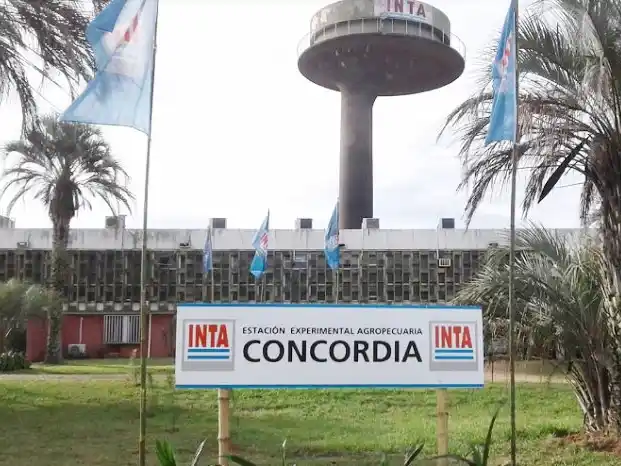 En Entre Ríos no hay ninguna lista de pase a disponibilidad de personal del INTA