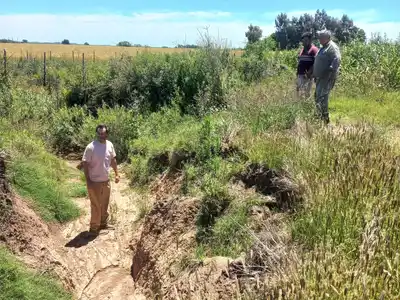 Mantenimiento de calles en el Sexto Distrito