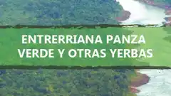 Hoy presentación del libro de Silvana Caraballo en la Biblioteca