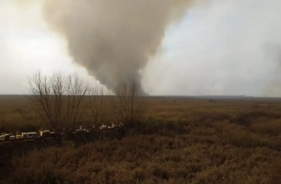 En Gualeguay siguen activos dos focos de incendios forestales