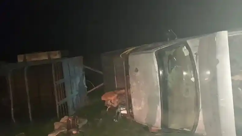 Volcó una camioneta que trasladaba animales en un carro