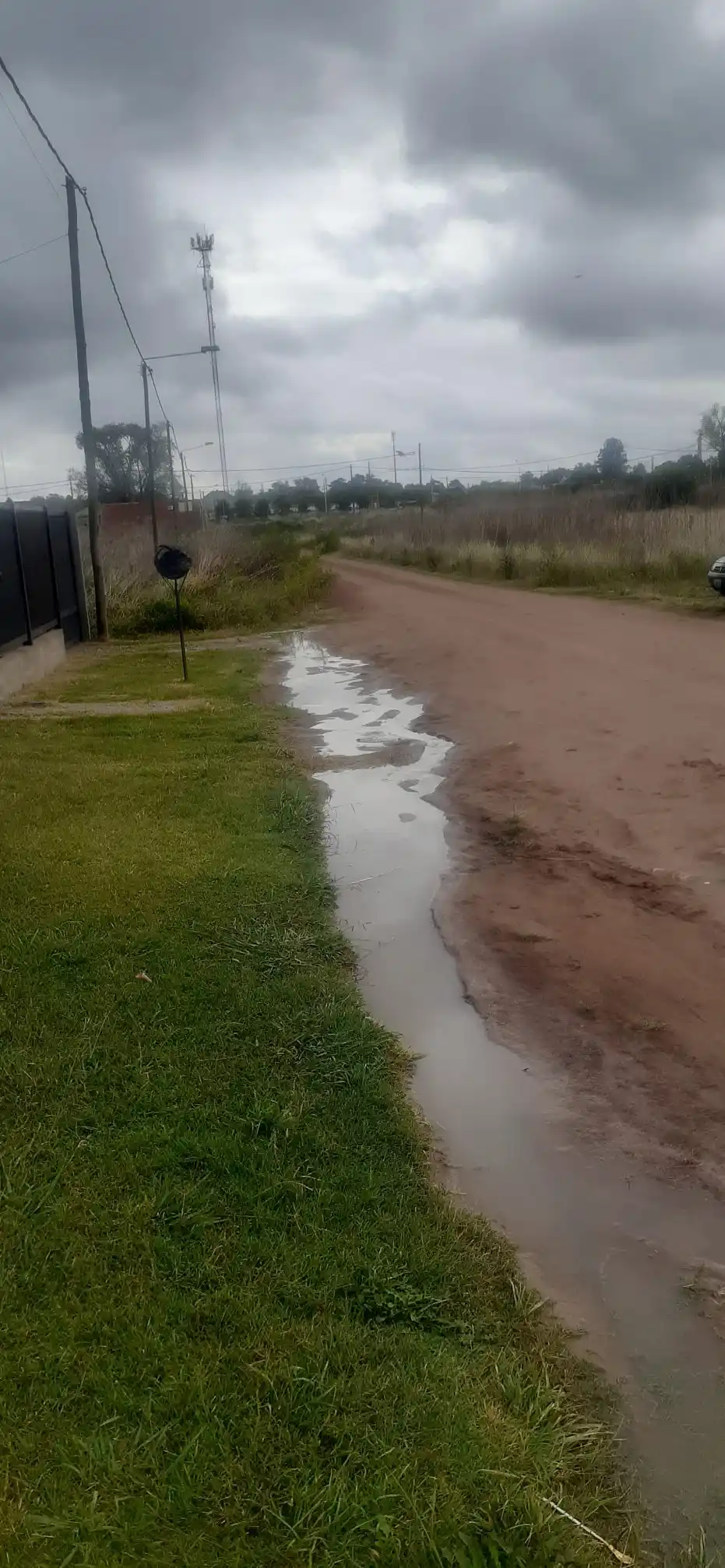 Estado de la calle Langueyú al 300