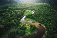 América Latina, la más biodiversa y, paradójicamente, la más vulnerable ante el cambio climático