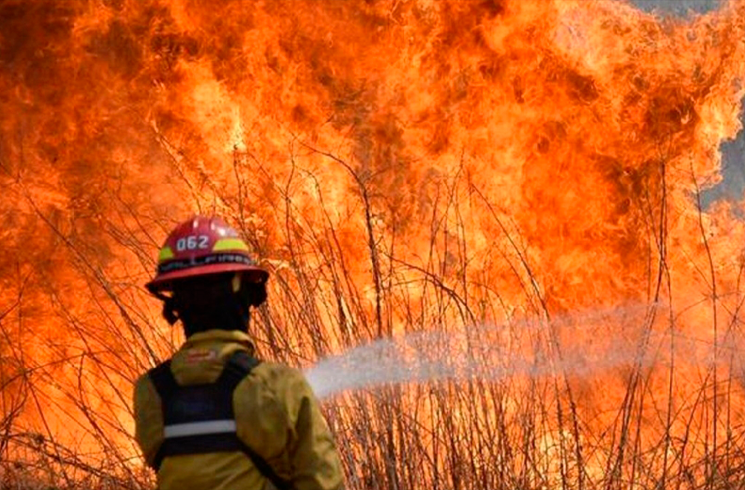 Preocupación en Corrientes por los incendios forestales