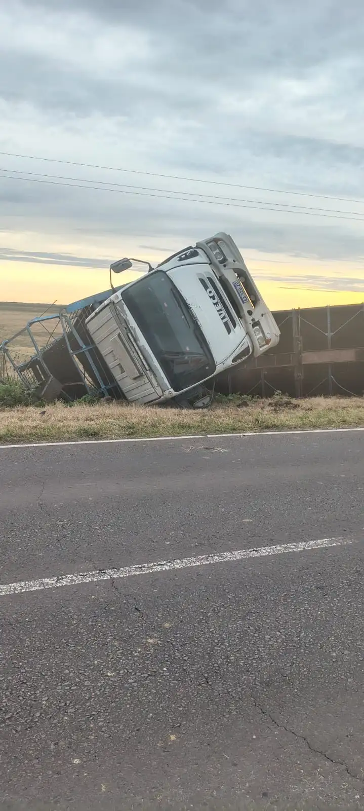 Vuelco de un camión con vacunos sobre la Ruta Provincial N° 11