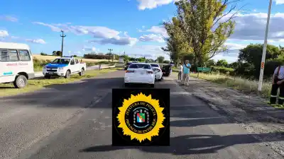 Colisión sin lesionados sobre la Ruta Provincial N° 11, a la altura de Aldea Brasilera