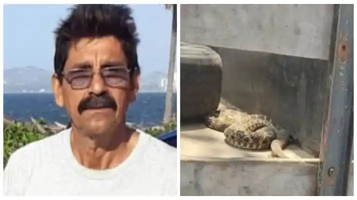 LO PICÓ UNA MAPANARE y murió por falta de suero antiofídico