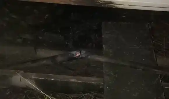 ¡OTRO MÁS! Metro de Caracas denuncia un nuevo ataque que «impide su desempeño»