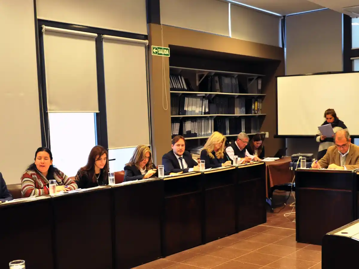 A comisión, el proyecto para inhabilitar la licencia a infractores