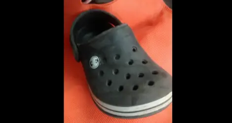 Croc encontrada