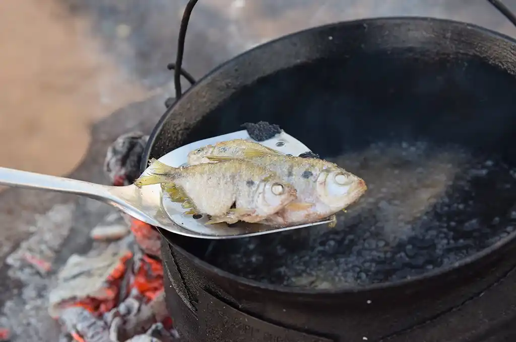 A mojarrear que se vino el frío