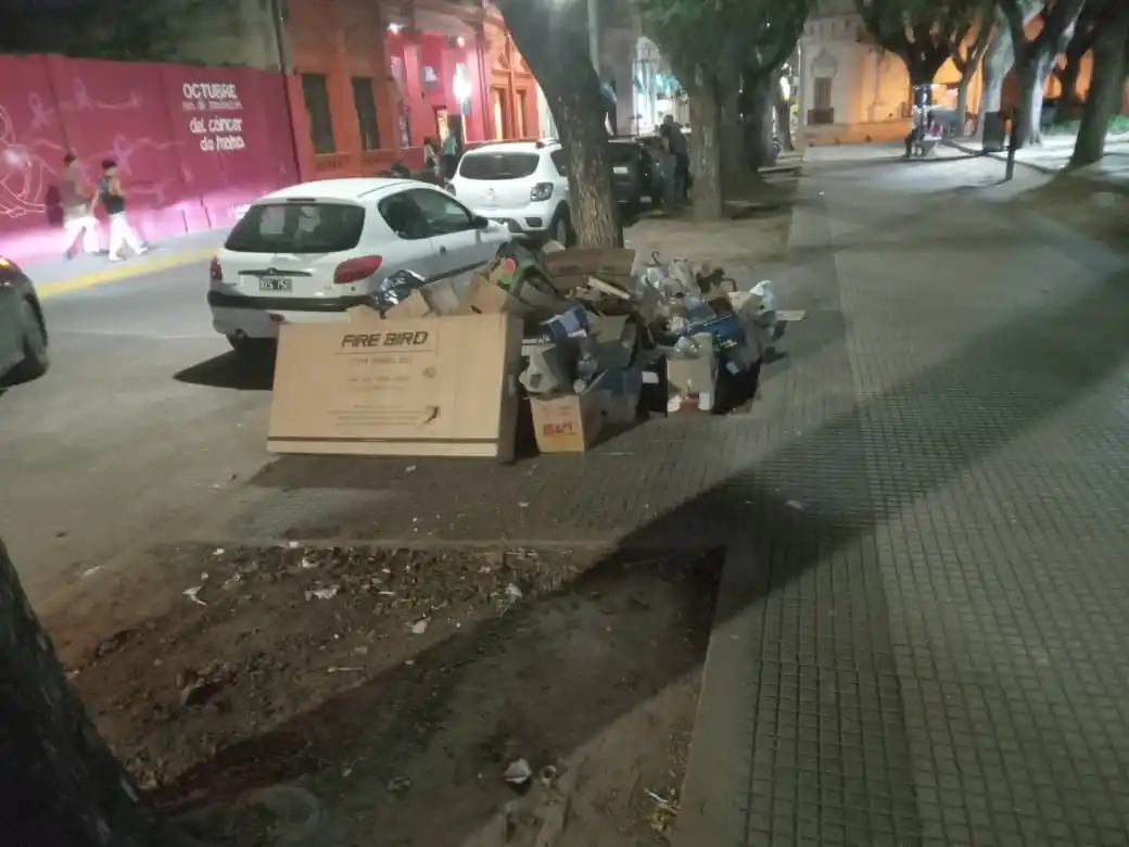 Retiraron los puntos verdes de Plaza Constitución y volvió la montaña de basura