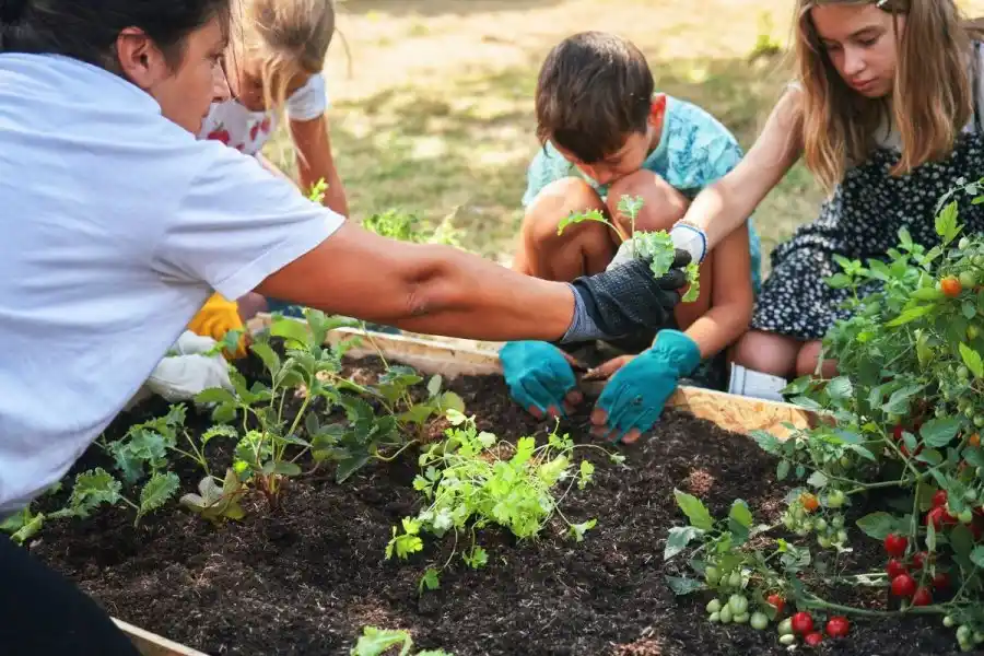 ¿Querés aprender a hacer tu propia huerta? Se viene el taller de otoño