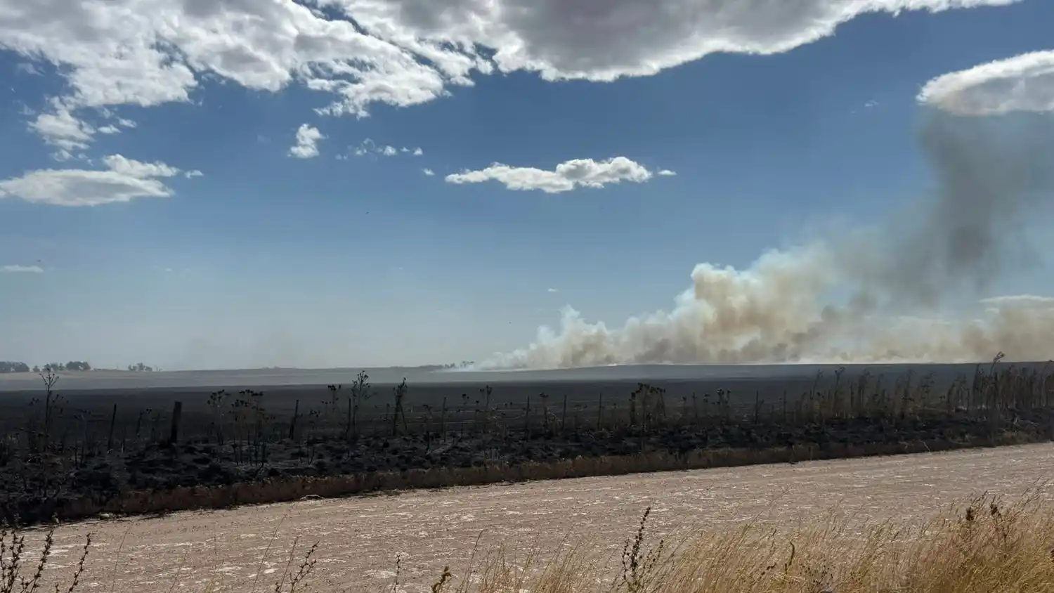 incendio 2