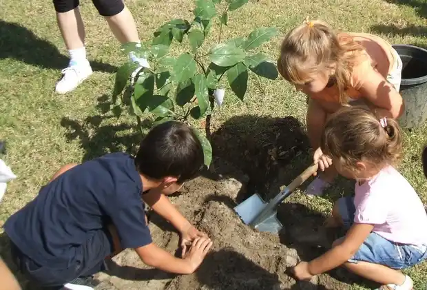 Homenajearán a funcionarios de la Nación y la provincia, pioneros en gestión ambiental