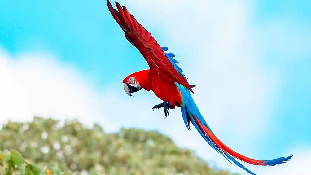 El Parque Nacional Iberá reabre para turistas de todo el país