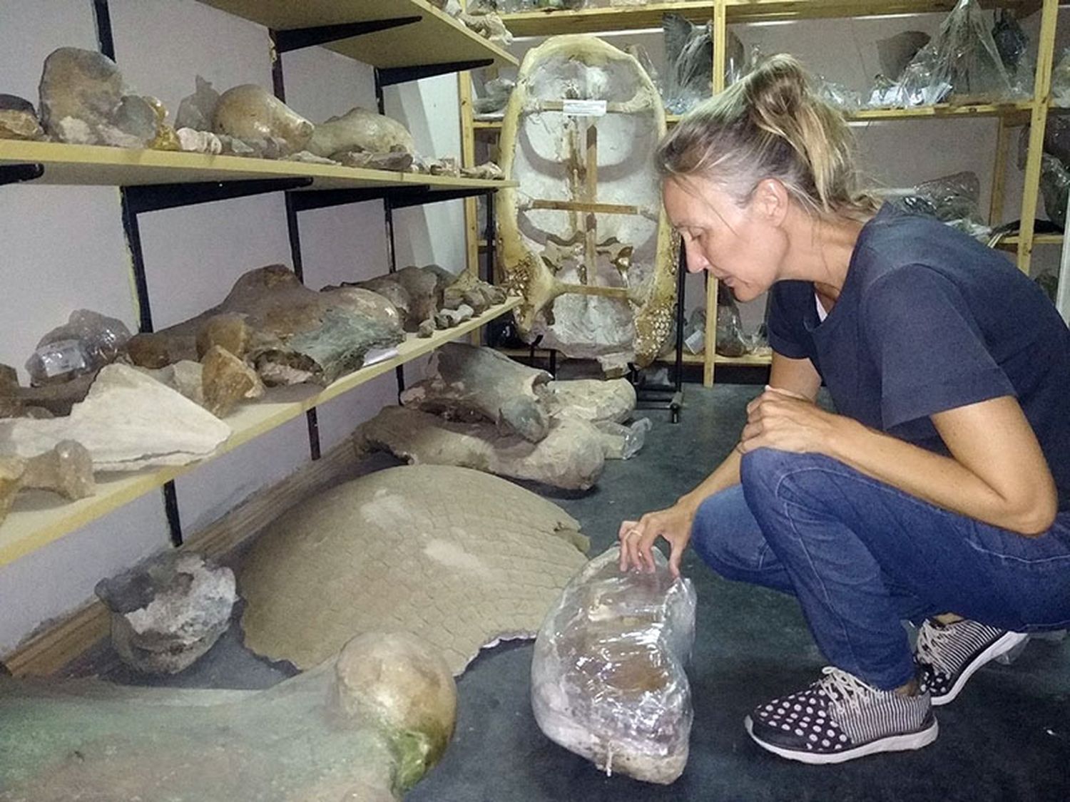 Tras el hallazgo. Sigue la investigación