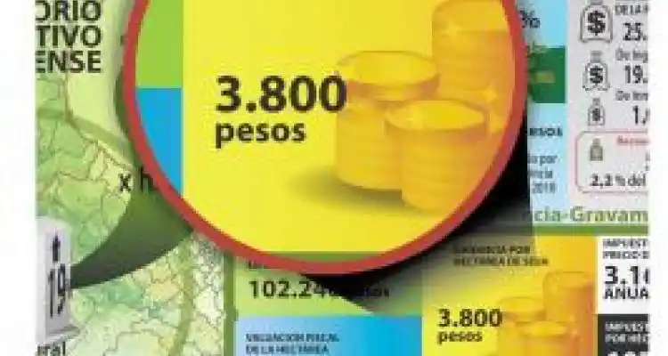 Fe de erratas – Un quintal no es una tonelada  y un promedio es un promedio