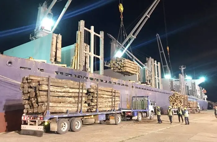 Los puertos entrerrianos completan una nueva exportación de madera