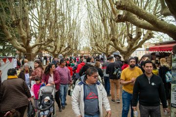 Fiestas populares en la Provincia de Buenos Aires 2025: Eventos turísticos gratuitos del 11 al 18 de septiembre