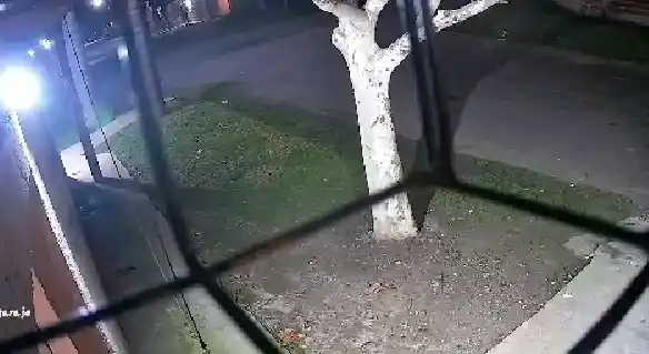 Un momento del robo fue registrado por cámaras de seguridad de vecinos.