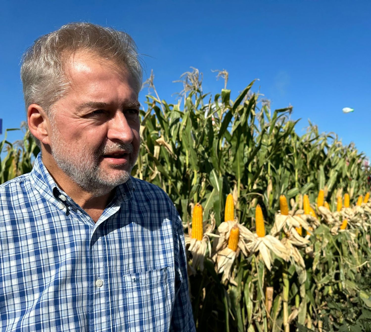 Roberto Mirabella, diputado nacional por la provincia de Santa Fe.