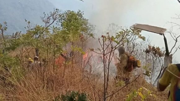INCENDIO EN EL PARQUE HENRI PITIER «está contenido»: ministro confirma que hay 7 detenidos