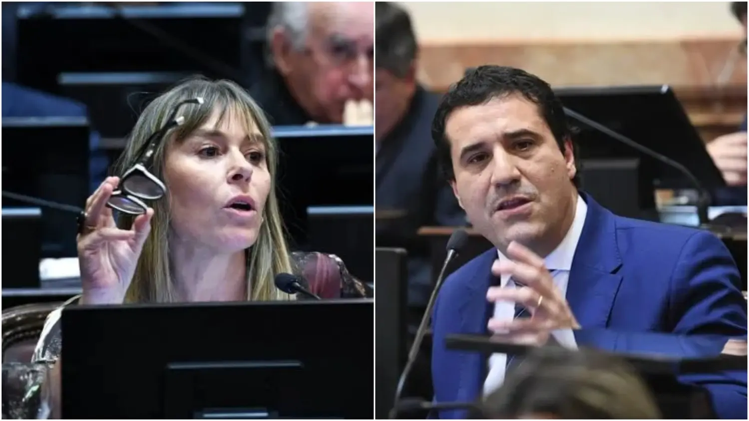 Tanto Di Tullio como Abad rechazaron el veto presidencial a la ley de emergencia por las inundaciones en Bahía Blanca.