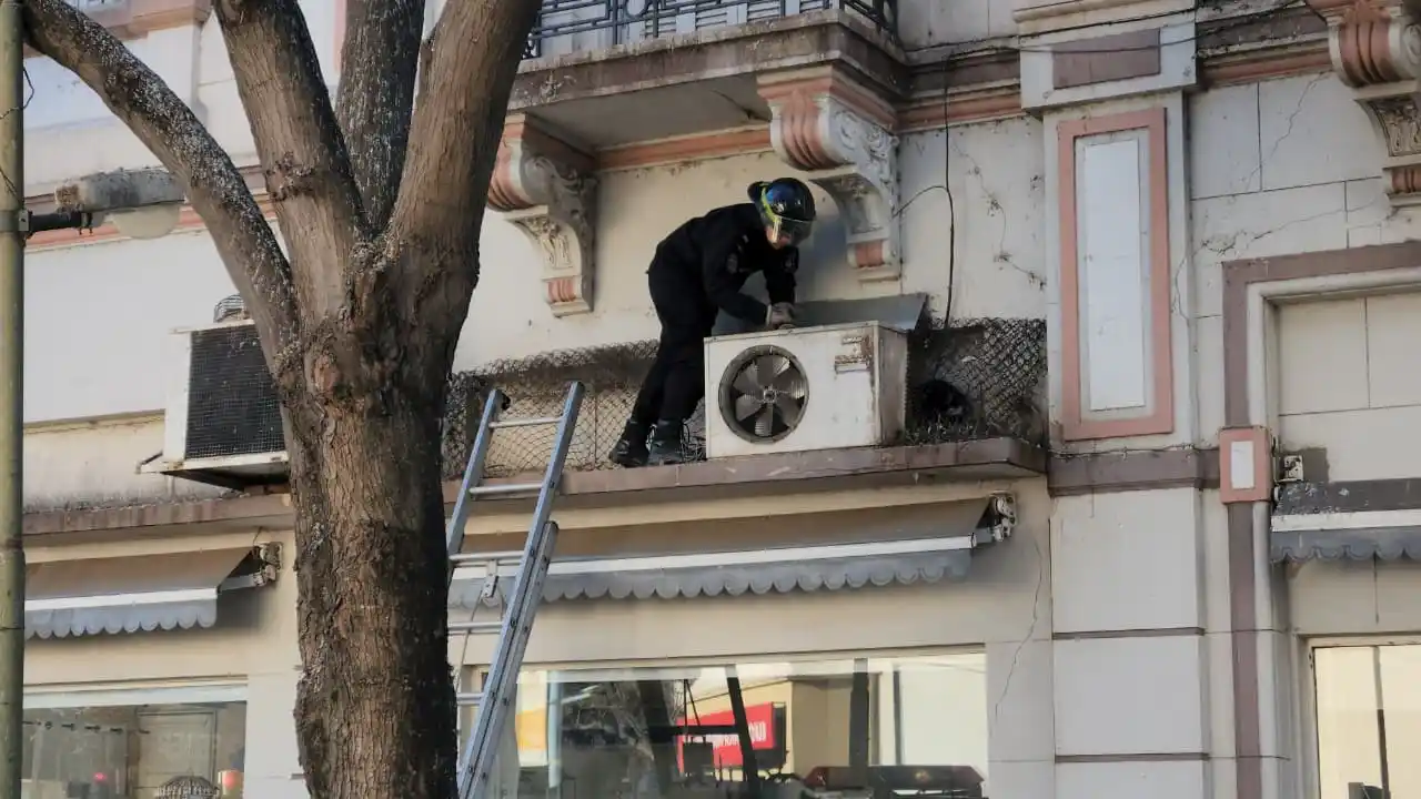 gatita dadia encontrada en el centro - 3