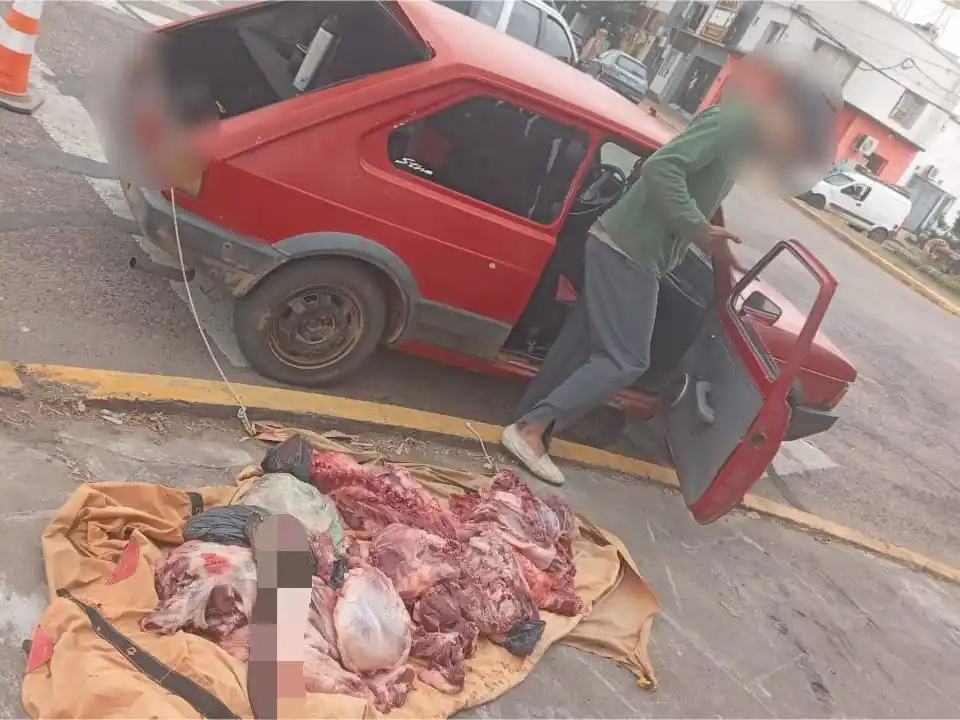 Detuvieron a dos hombres por violar la Ley de Caza: llevaban más de 100 kilos de carne de jabalí en el baúl de su auto