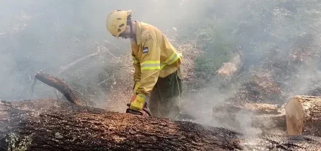 Alerta por incendios en la Patagonia, el sur de la provincia de Buenos Aires, Córdoba y La Pampa