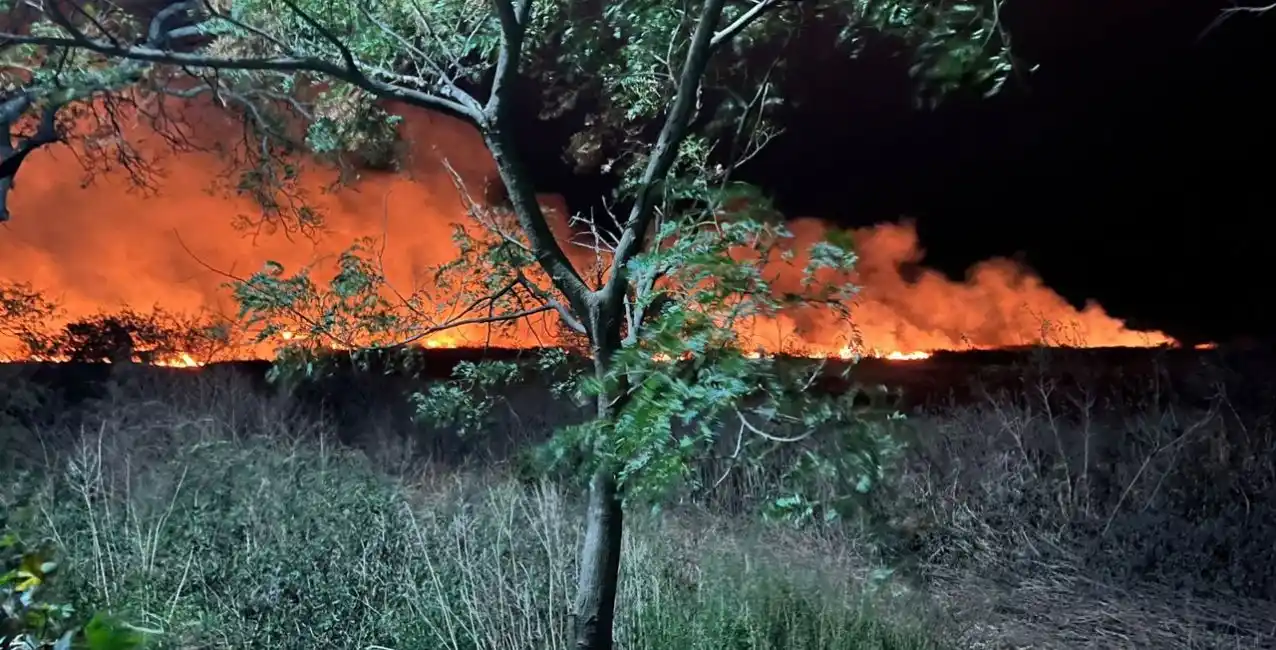 Bomberos sofocaron un importante incendio detrás del Club Náutico de Santo Tomé