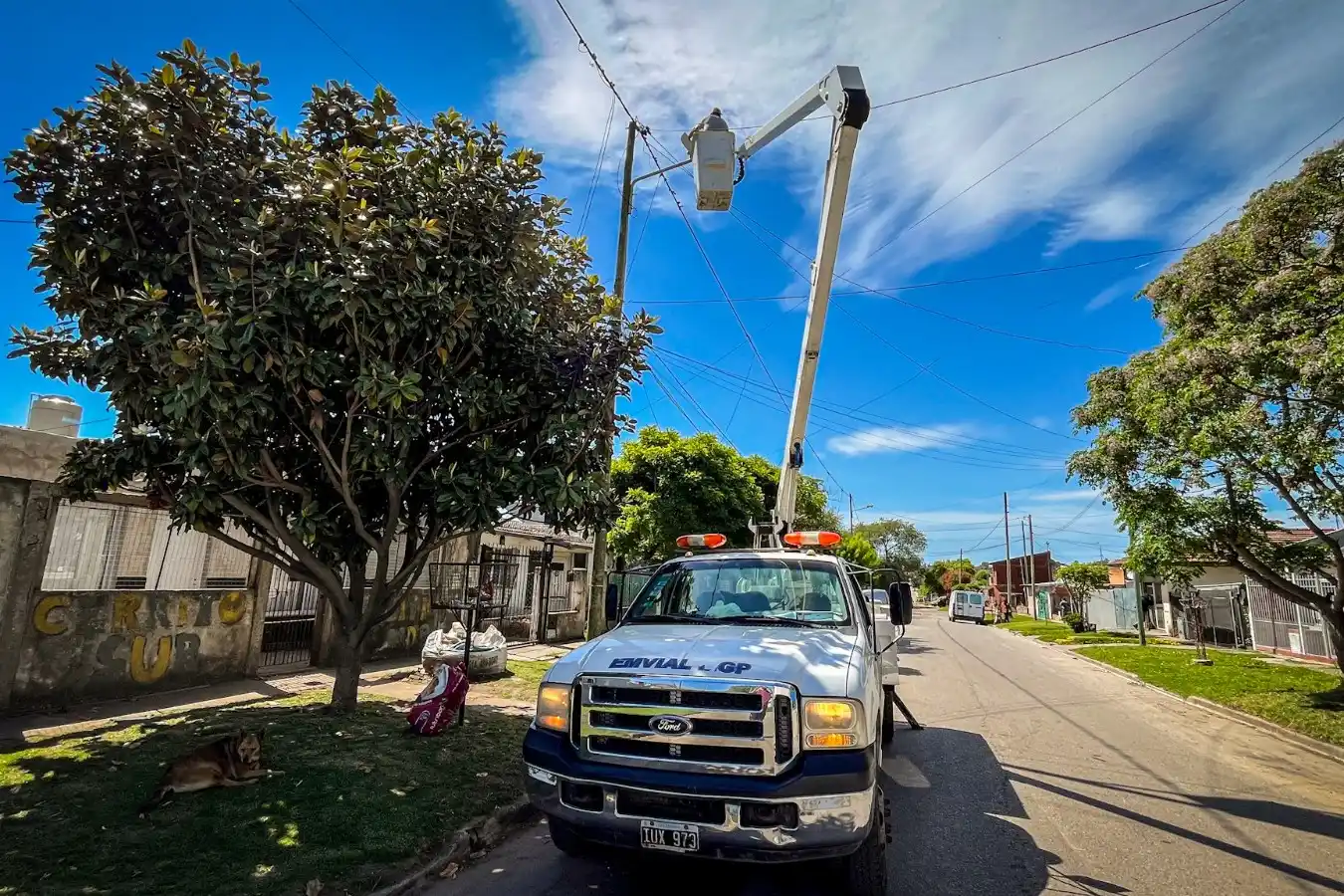 Además, se realizaron 417 intervenciones relacionadas con el mantenimiento y reparación de columnas y postes.