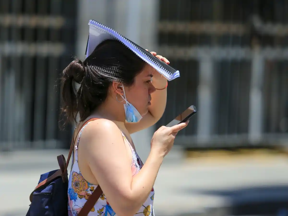 Cambio climático y altas temperaturas: los últimos ocho años fueron los más calurosos 
