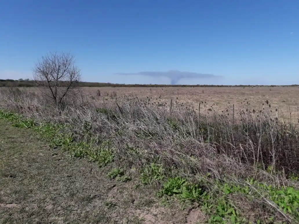 Quema en zona de islas: “El humo se ve desde el ingreso a Vuelta de Obligado”