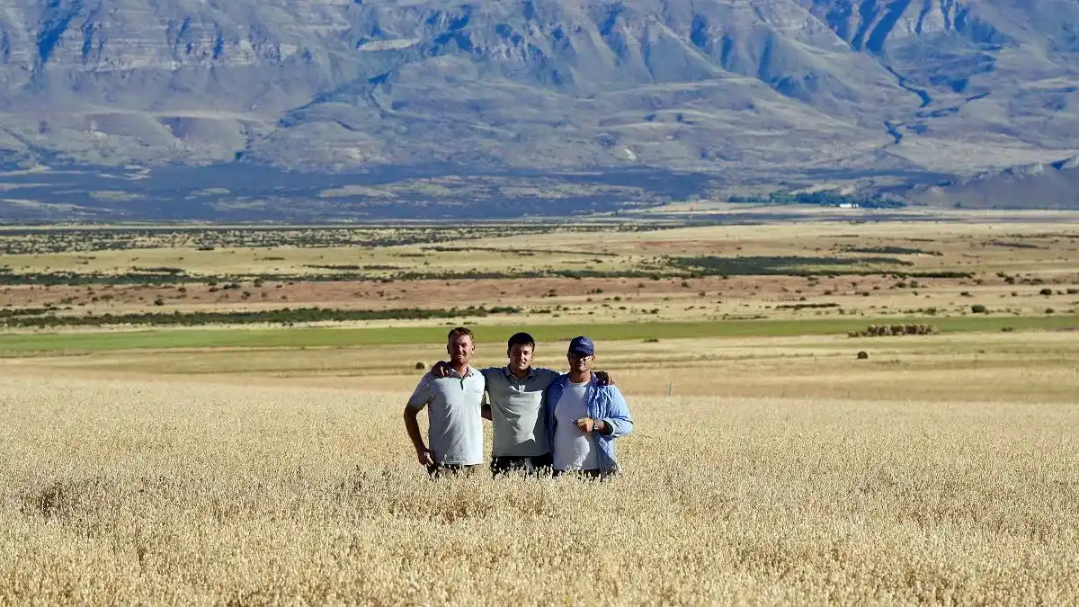 Hicieron trigo en el Calafate con rindes de 3.000 kilos por hectárea y hasta Milei los felicitó