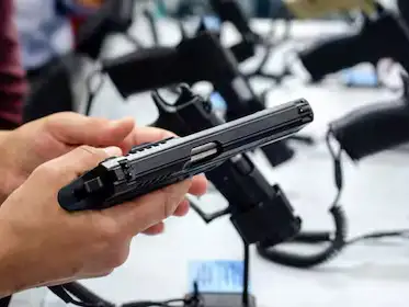 El Gobierno estableció una nueva estructura y organización para el Registro Nacional de Armas (Renar).