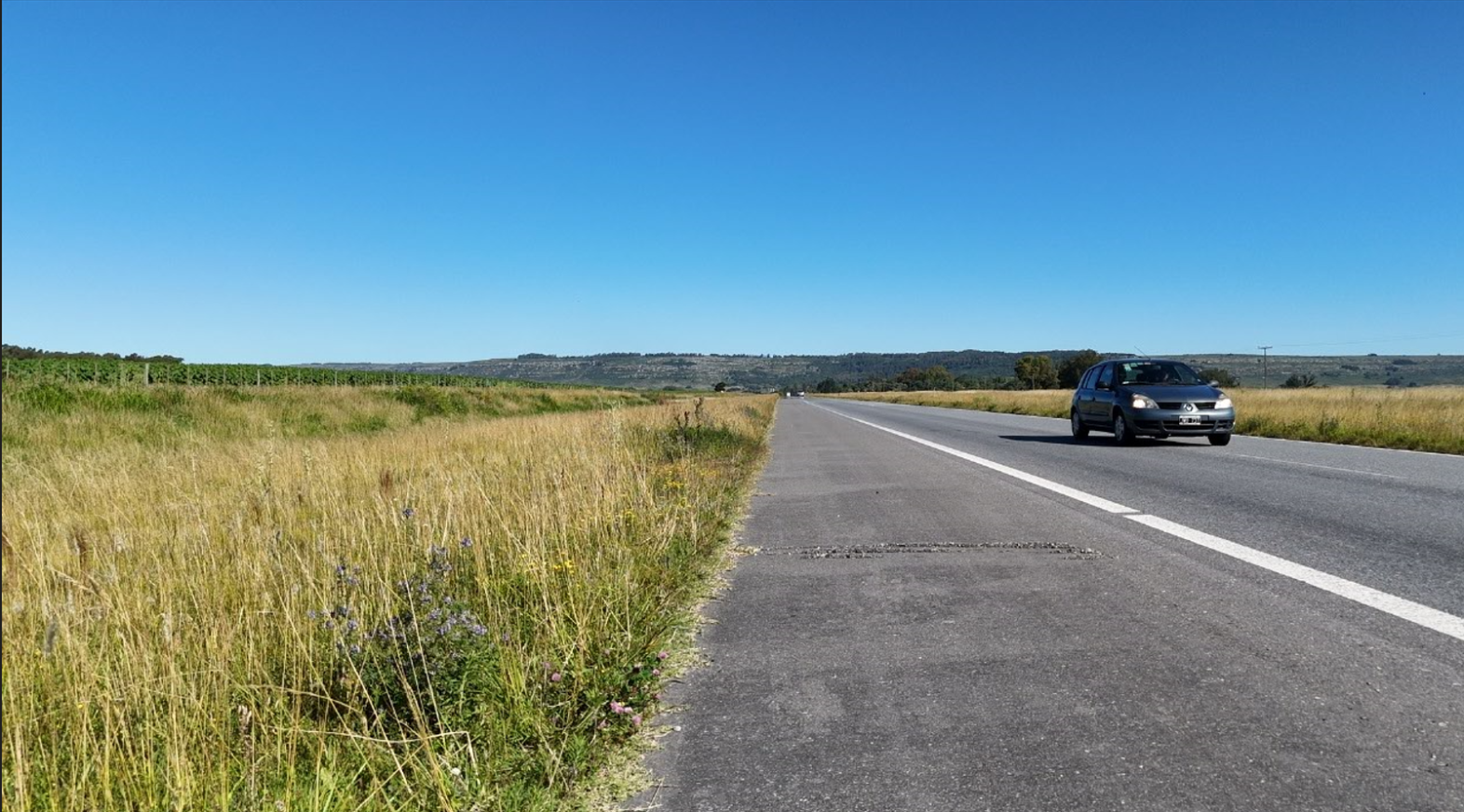 Piden medidas "urgentes" para mejorar ruta 226 en el tramo Mar del Plata - Balcarce: advierten un "estado preocupante"