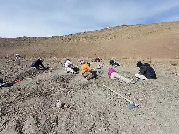 Descubren un ave que convivió  con los dinosaurios