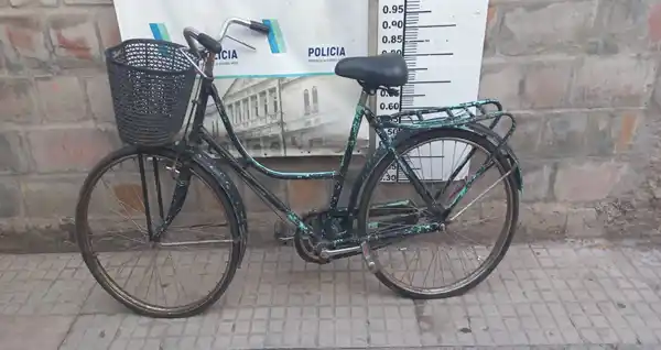 Encontraron una bicicleta entre pastizales en el Paseo Público