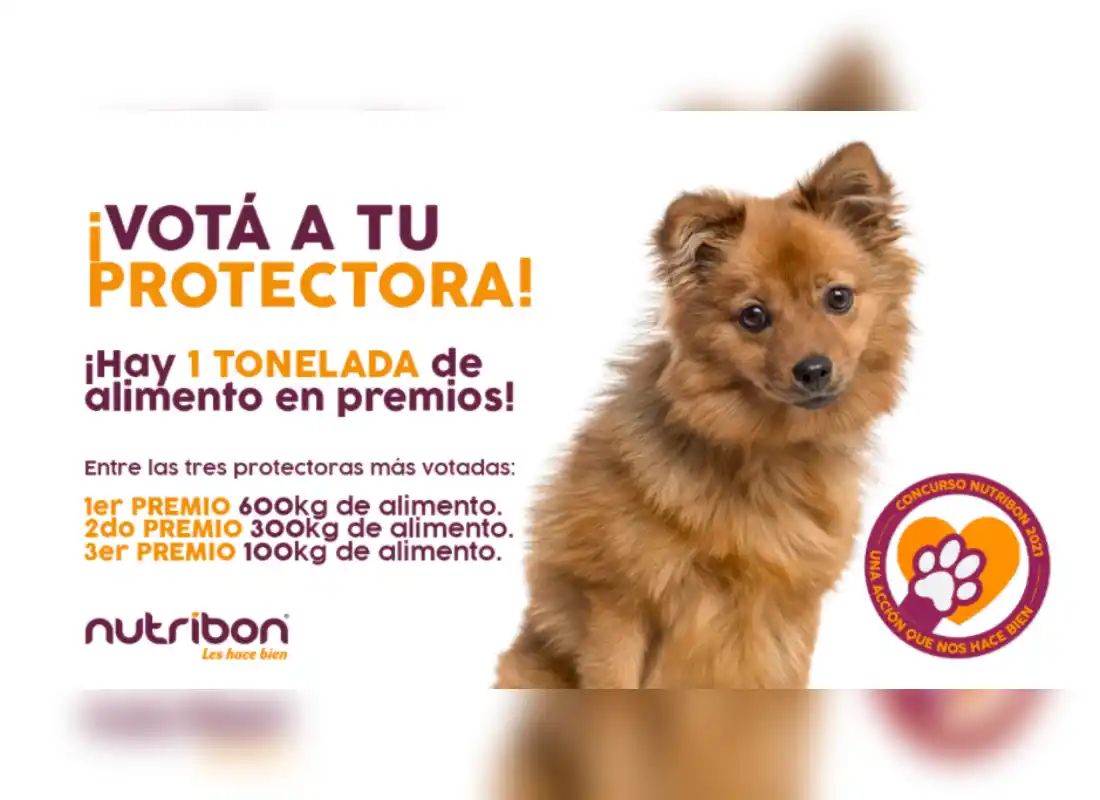 Refugio San Pedro participará de un concurso y necesita votos para ganar