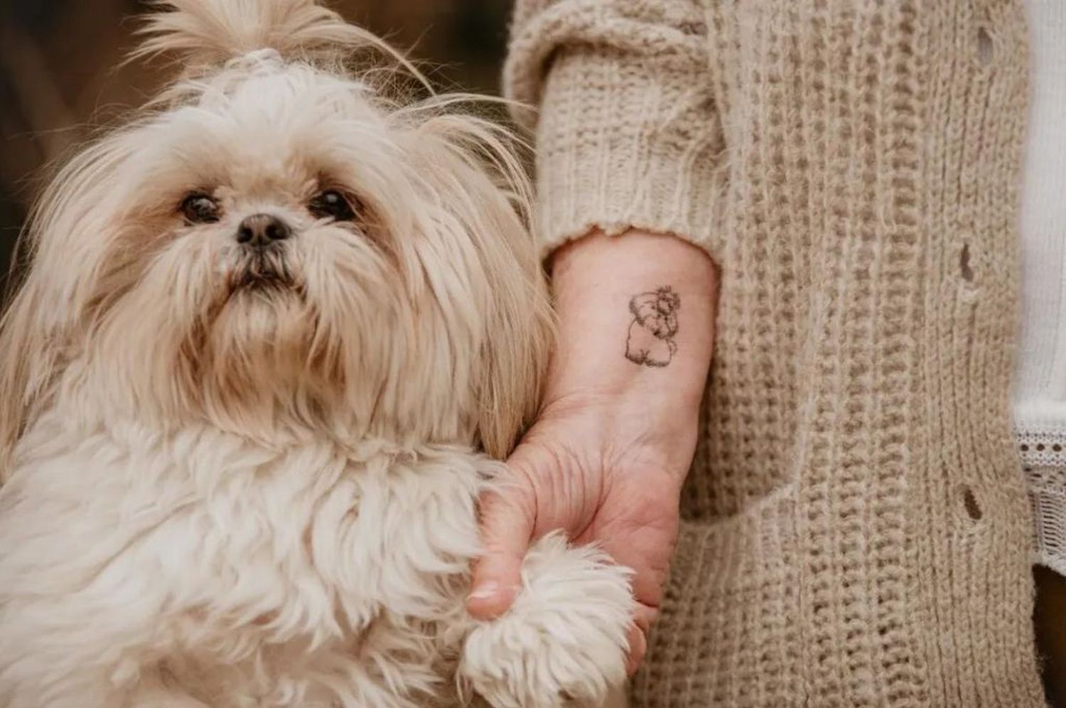 Conmovedora historia: a los 85 años, una jubilada santafesina, se tatuó por primera vez en homenaje a su perra