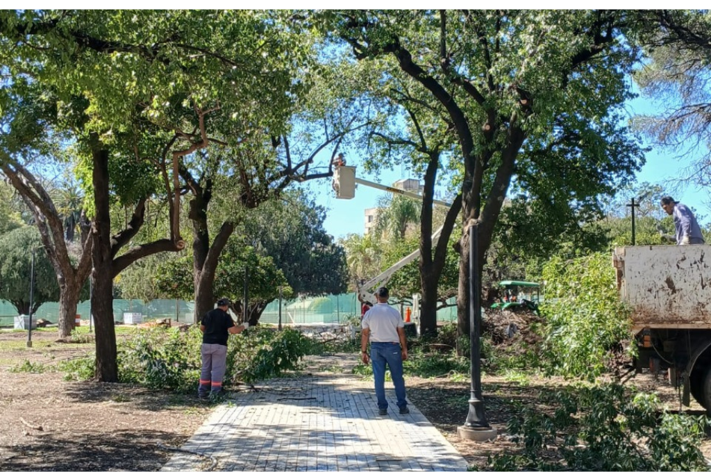 Avanzan las tareas en la Plaza 25 de Mayo