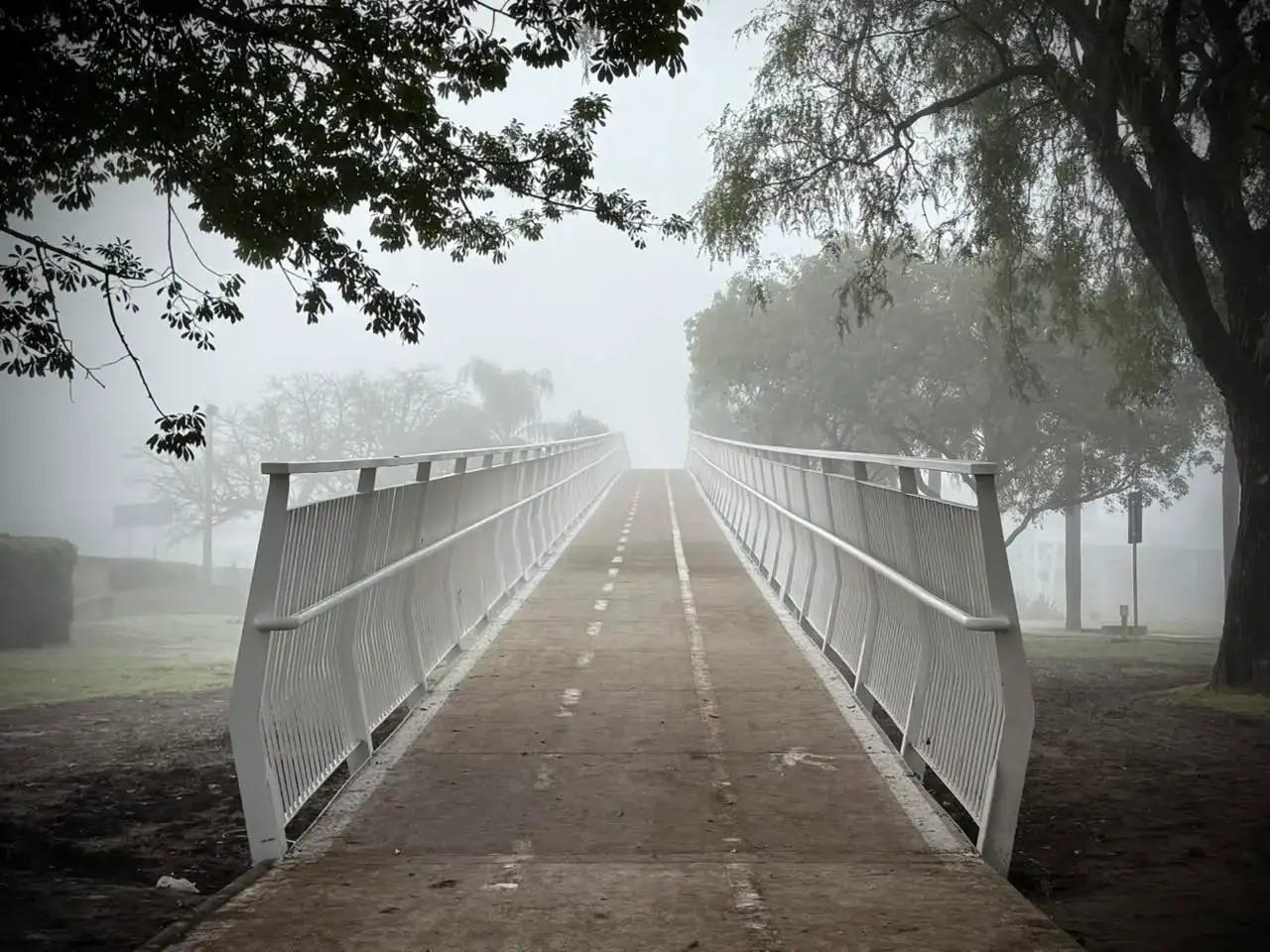 Domingo gris y con neblina en San Francisco: cómo seguirá el tiempo