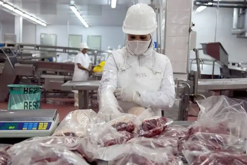 Campo Carne Exportación