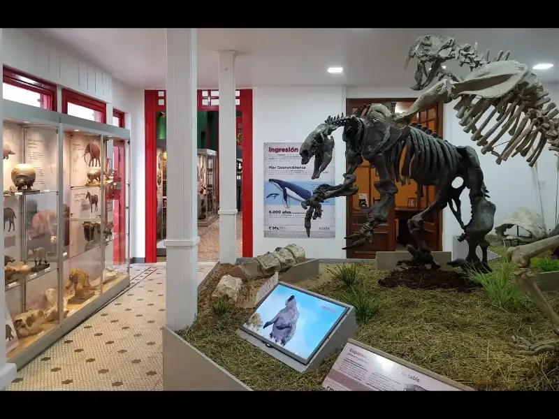 megafauna paleontologia - 1