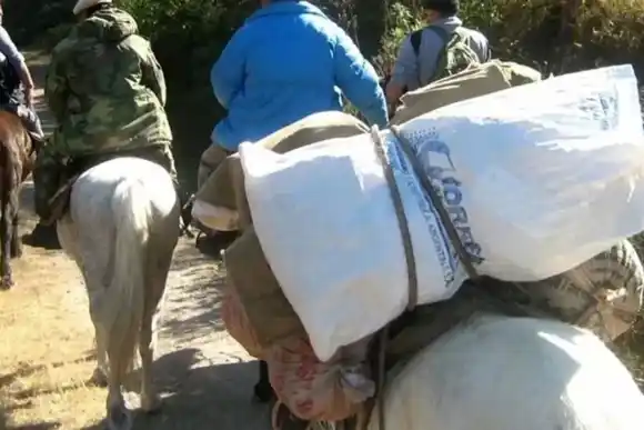 Elecciones 2023: un avión, 12 helicópteros, tres barcos y 100 mulas para llevar las urnas a todo el país