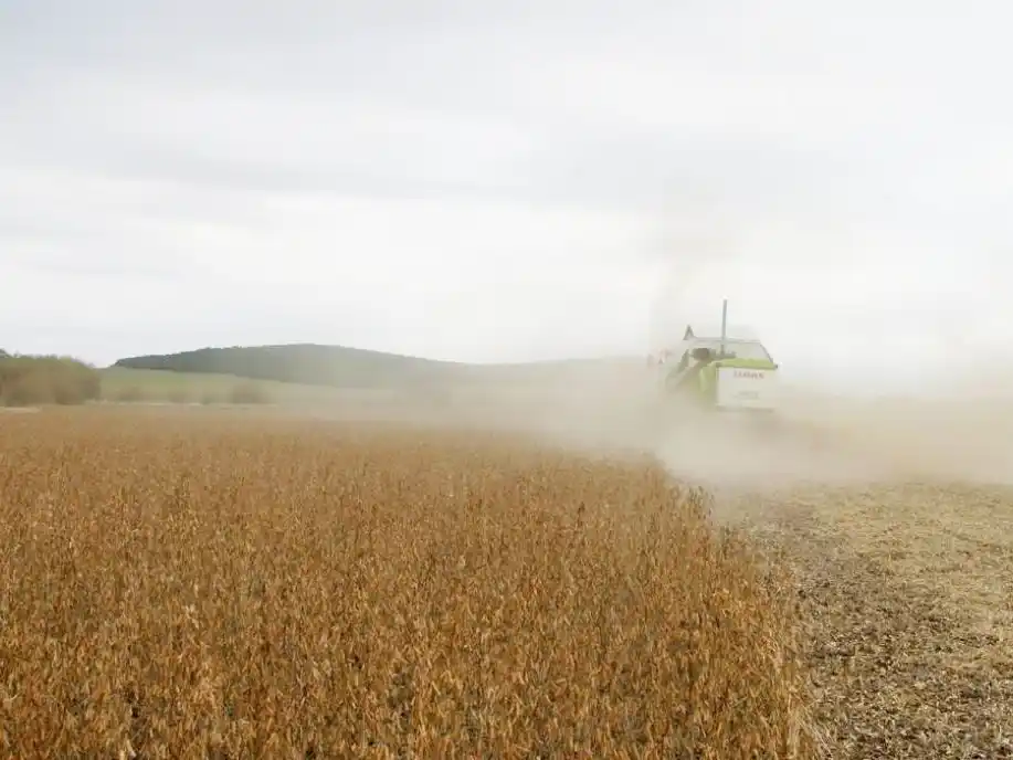 Victoria picó en punta con la trilla de la soja entrerriana del 2025