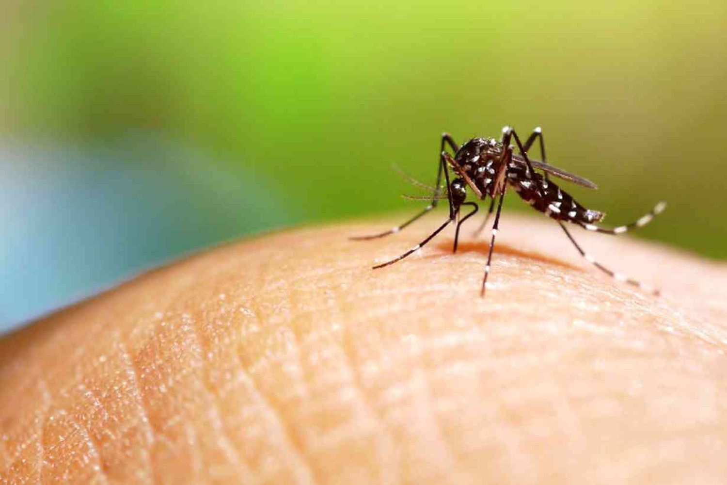 Dos muertos y continúan en aumento los casos de dengue en Córdoba